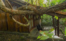 Forest Floor Lodge Cat Tien